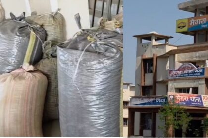 STF and police in Gaya: 10 smugglers arrested with more than 230 kg of doda opium