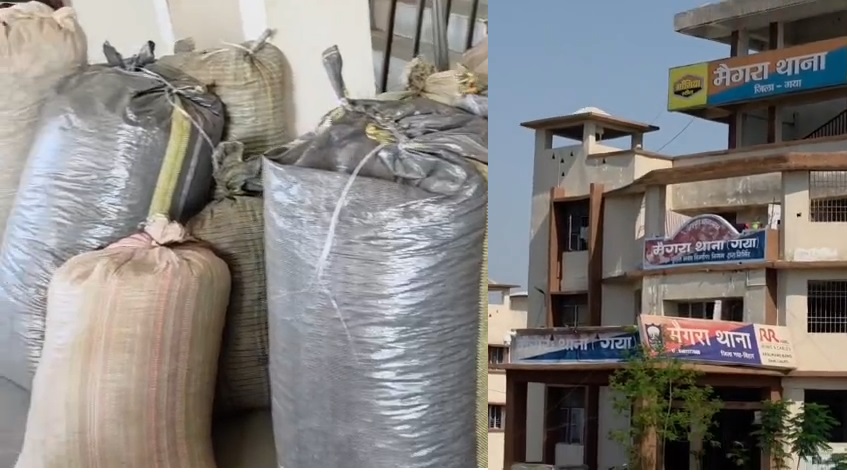 STF and police in Gaya: 10 smugglers arrested with more than 230 kg of doda opium