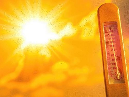 Heat wave and humidity ravage Bihar