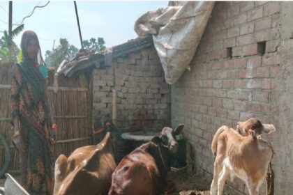 Her husband's death shattered her support, but her courage remained intact. The Jeevika Yojana transformed Ramrati Devi's life.