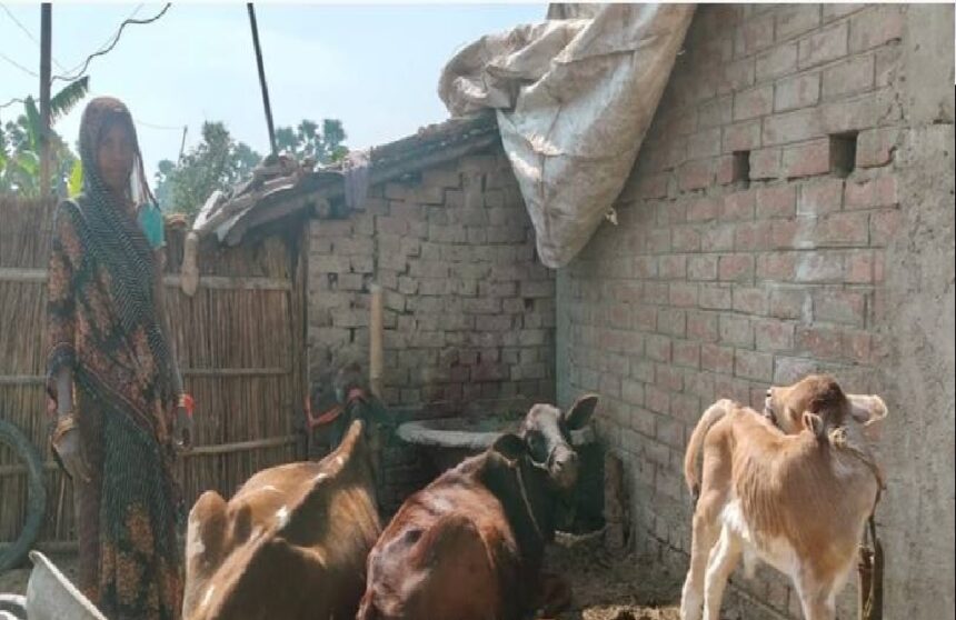 Her husband's death shattered her support, but her courage remained intact. The Jeevika Yojana transformed Ramrati Devi's life.